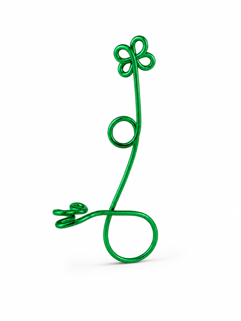 Lucky Charm